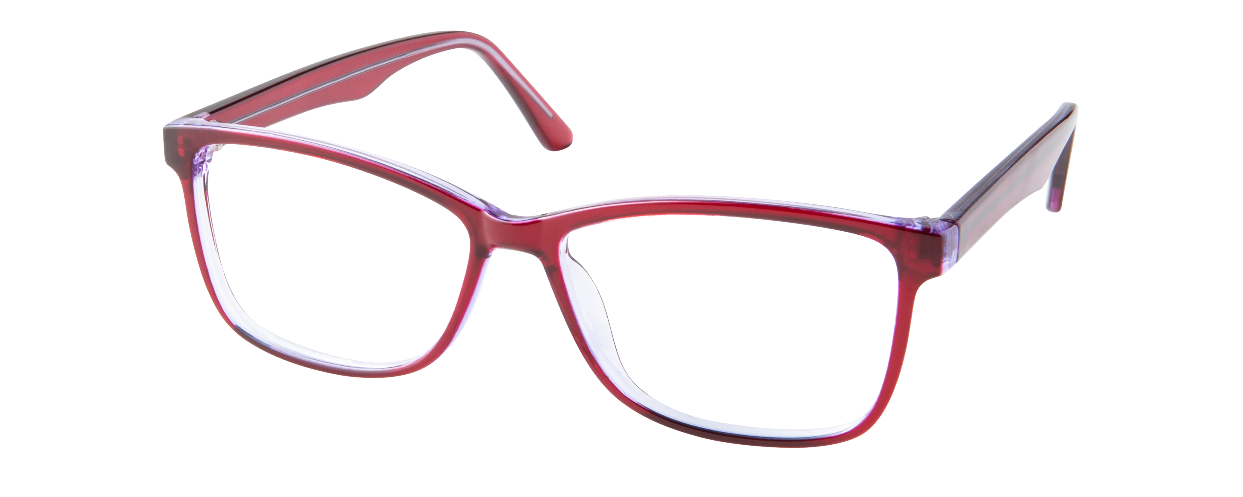 ECV MARGO - Image 2